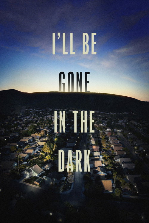 I'll Be Gone in the Dark (2020) TV show poster