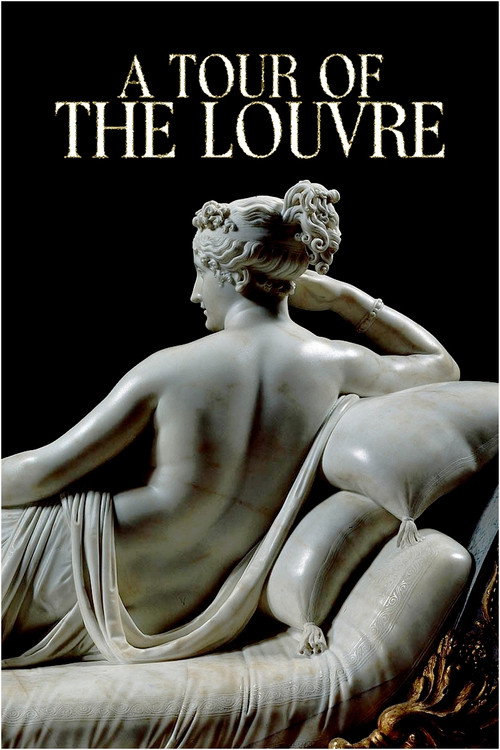 A Tour of the Louvre (2021) movie poster