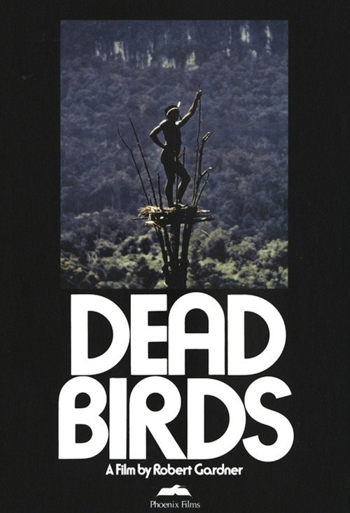 Dead Birds (1963) movie poster