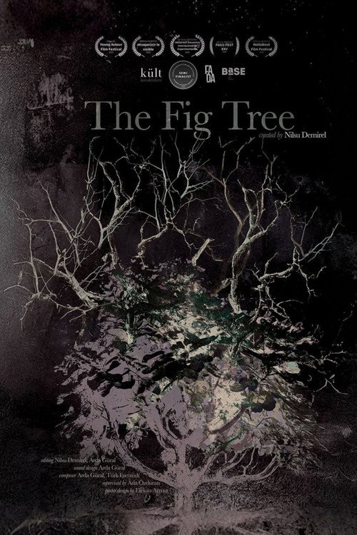 The Fig Tree (2025) movie poster