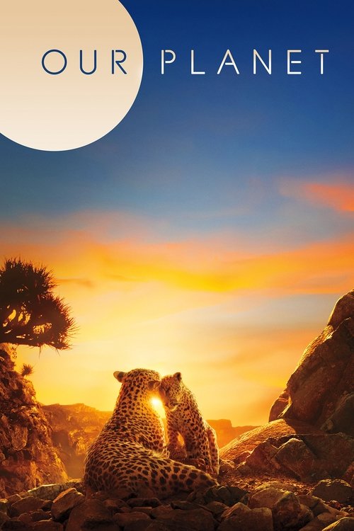 Our Planet (2019) TV show poster
