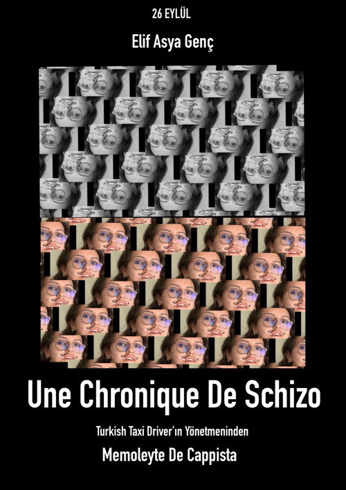 Chronic of Schizo movie poster