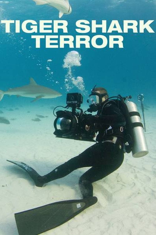 Tiger Shark Terror (2017) movie poster
