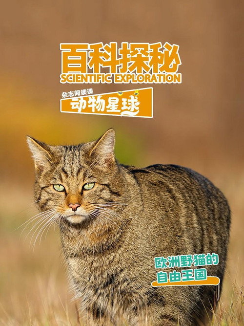百科探秘动物星球 (2026) TV show poster