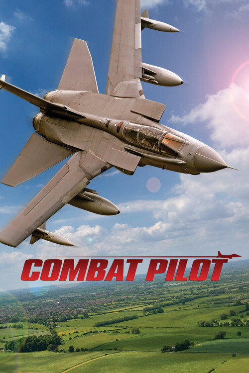 Combat Pilot (2004) TV show poster