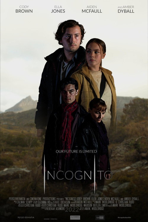Incognito (2022) movie poster