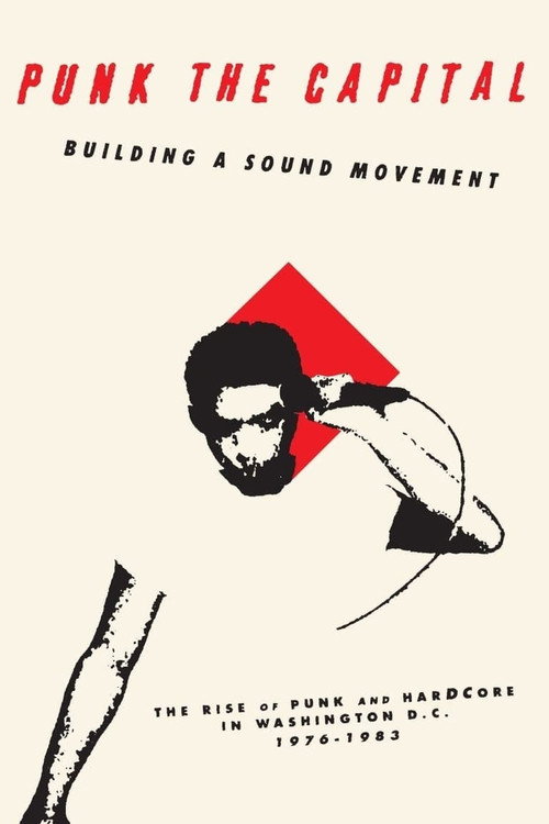 Punk the Capital: Building a Sound Movement (2019) movie poster