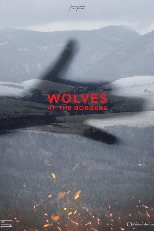 Wolves at the Borders (2021) movie poster