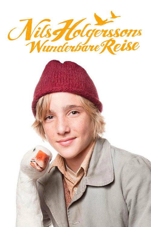 Nils Holgerssons wunderbare Reise (2011) TV show poster