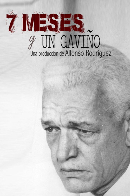 7 meses y un Gaviño (2020) movie poster