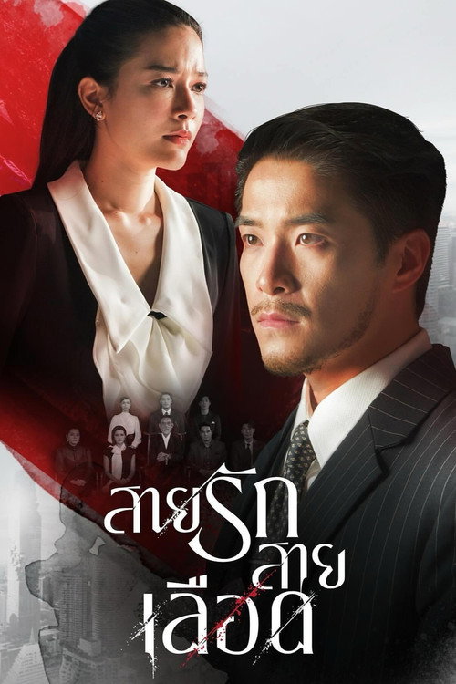 Game of Succession (2025) TV show poster