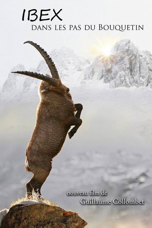 Ibex; In the Footsteps of the Ibex (2019) movie poster