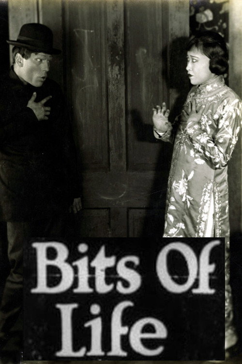Bits of Life (1921) movie poster