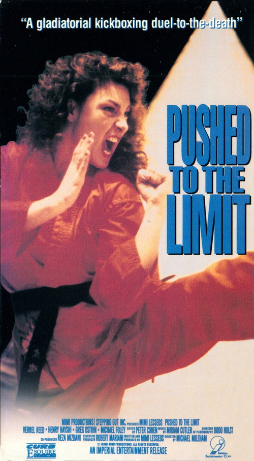 Pushed to the Limit (1992) movie poster