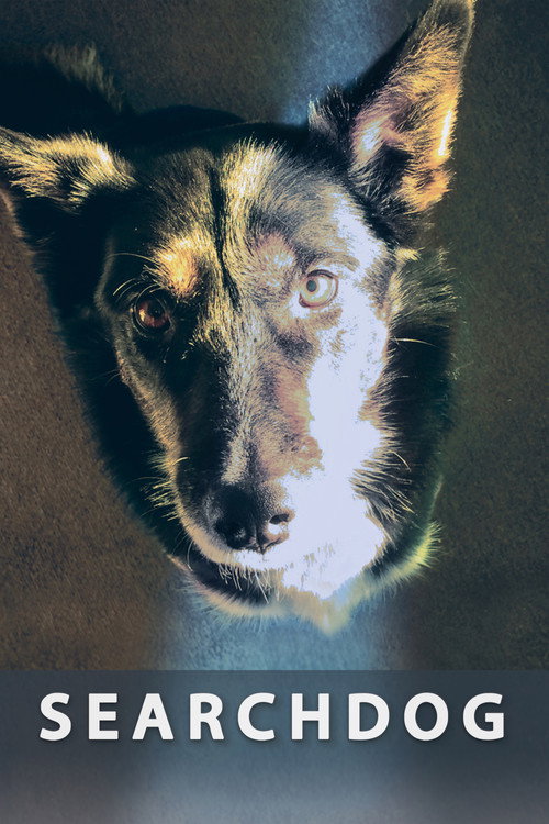 Searchdog (2016) movie poster