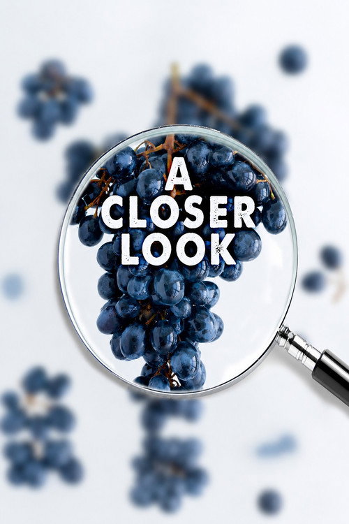 A Closer Look (2020) TV show poster