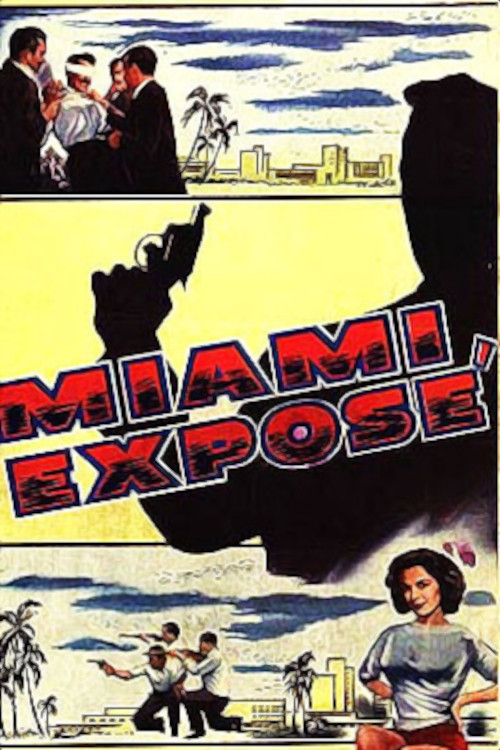 Miami Exposé (1956) movie poster