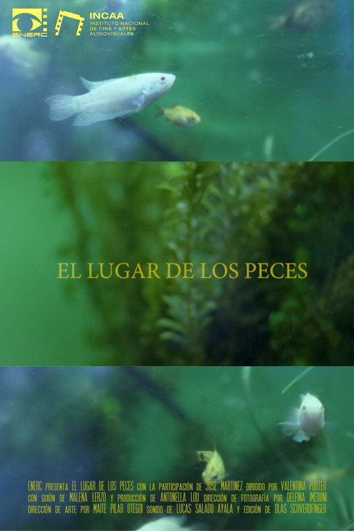 El Lugar de los Peces (2022) movie poster