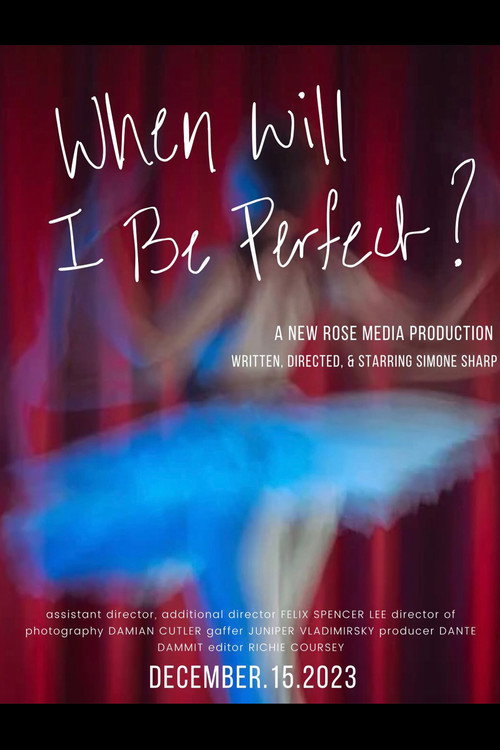 When Will I Be Perfect? movie poster