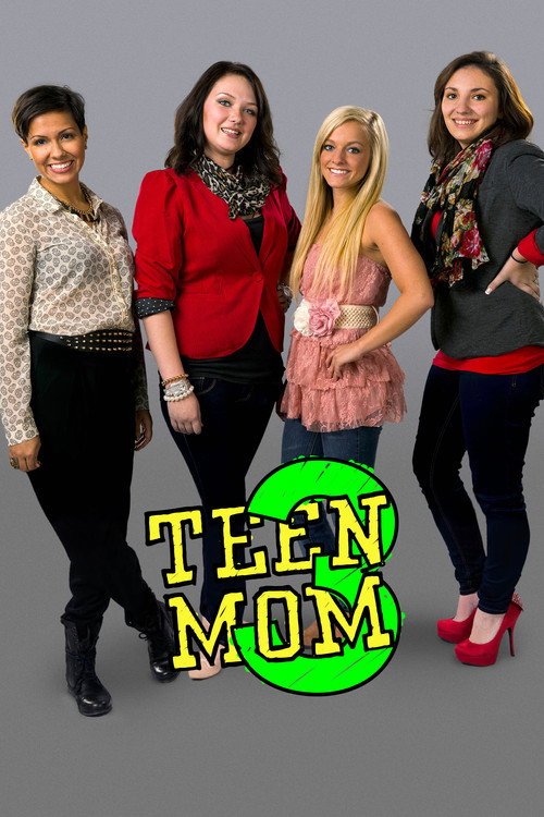 Teen Mom 3 (2013) TV show poster