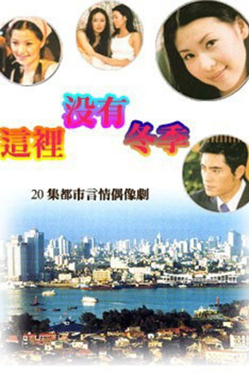 这里没有冬季 (2001) TV show poster