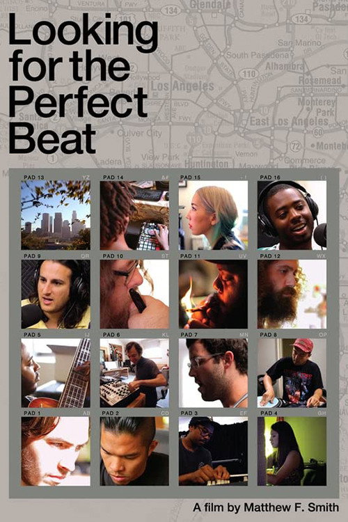 Looking for the Perfect Beat (2014) movie poster