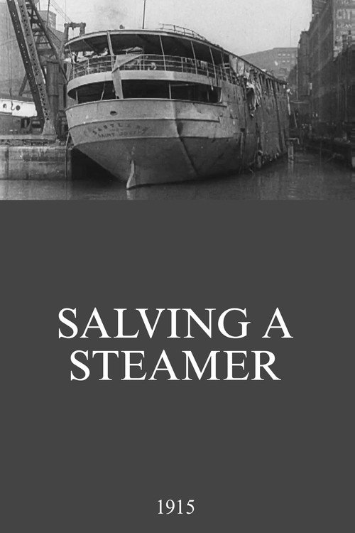 Salving a Steamer (1915) movie poster