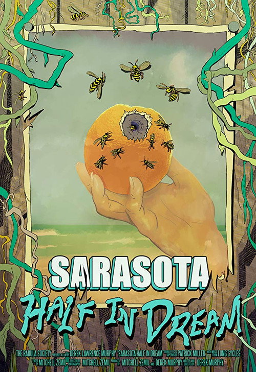 Sarasota Half in Dream (2017) movie poster