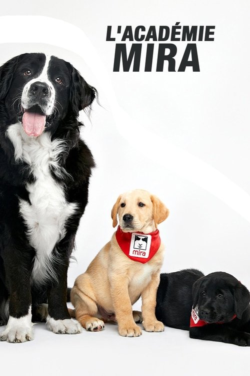 L'académie Mira (2019) TV show poster