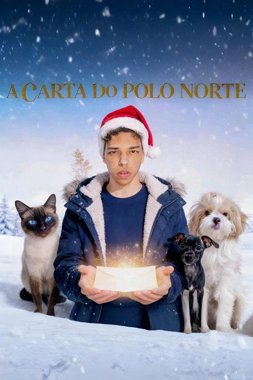 A Carta do Polo Norte (2025) movie poster