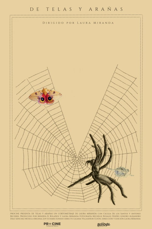 Of Webs and Spiders movie poster