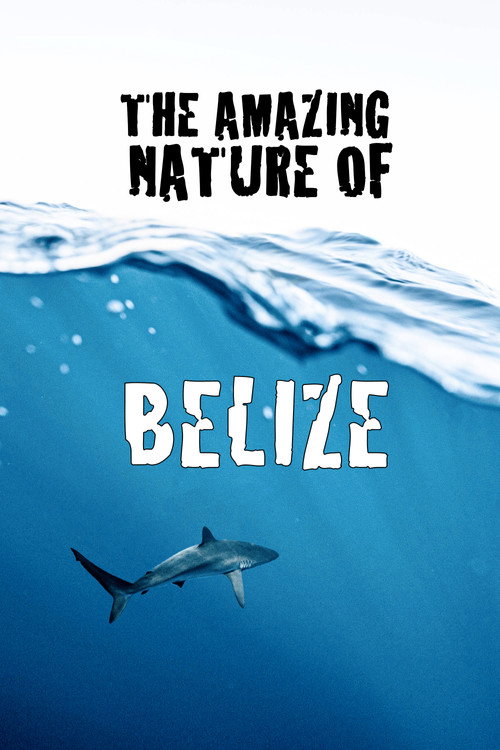 The Amazing Nature of Belize (2022) movie poster