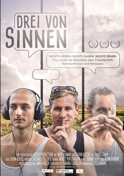 Drei von Sinnen (2017) movie poster