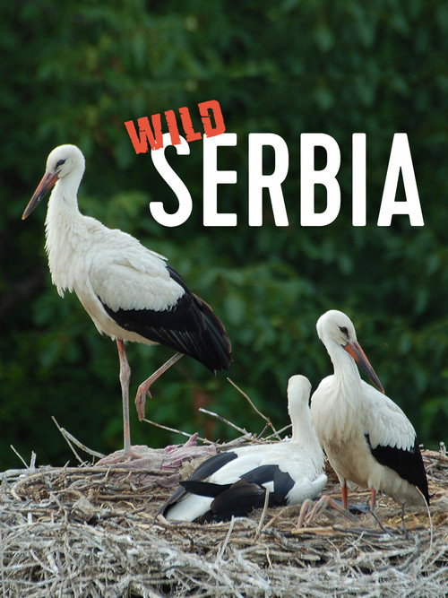 Wild Serbia (2011) movie poster