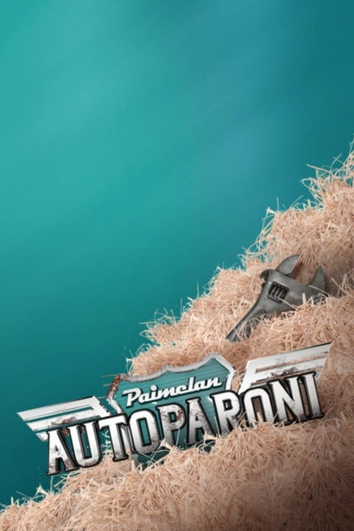 Paimelan autoparoni (2017) TV show poster