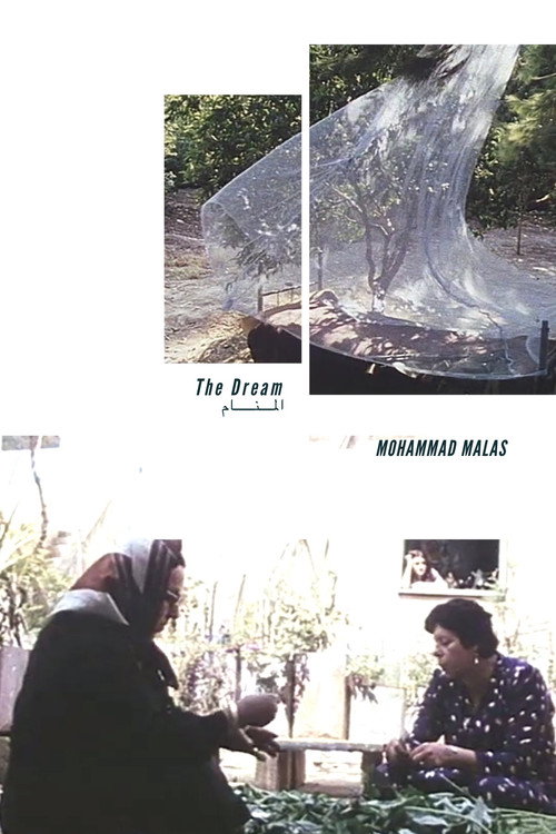 The Dream (1987) movie poster