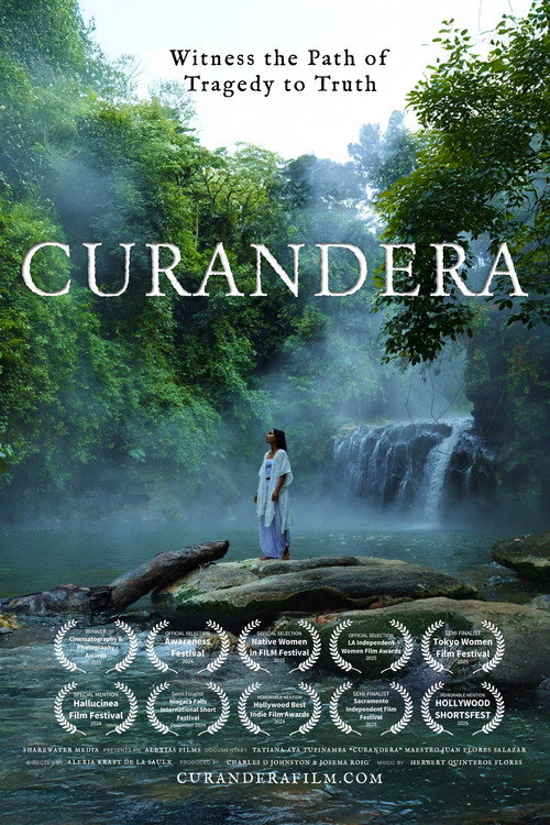 Curandera (2025) movie poster