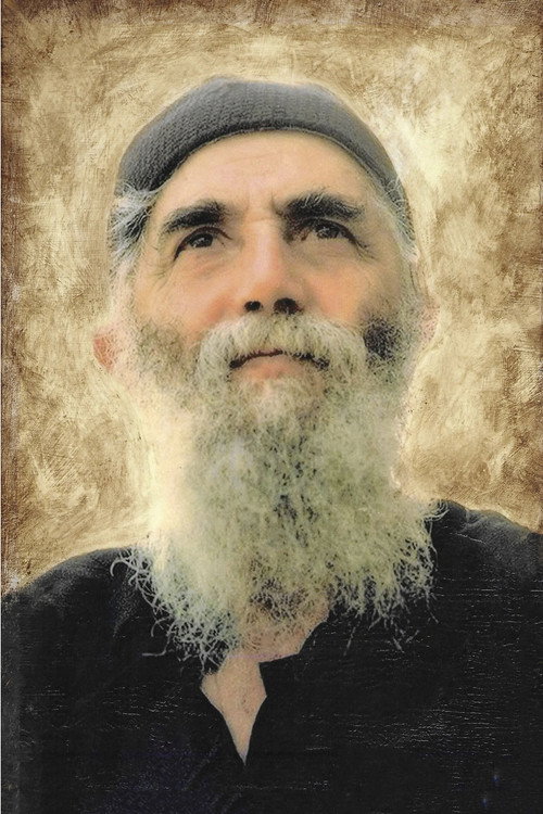 Saint Paisios the Athonite (2012) movie poster