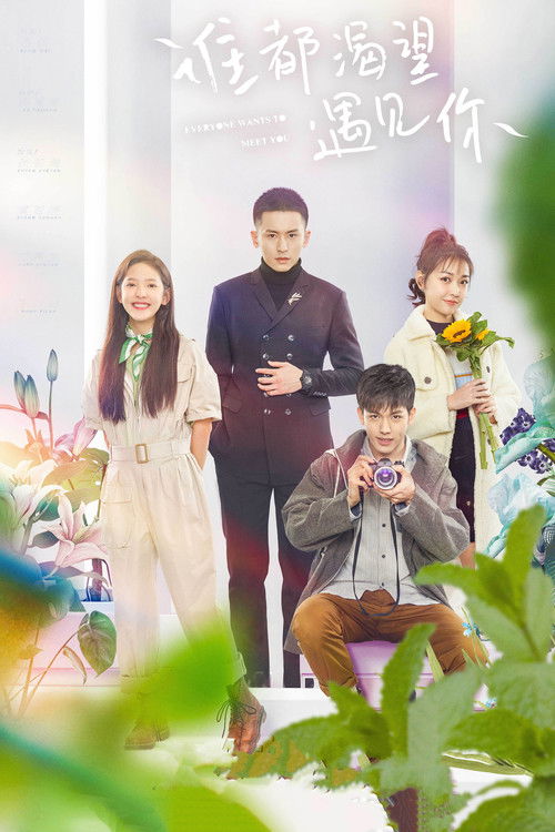 Everyone Wants to Meet You (2020) TV show poster