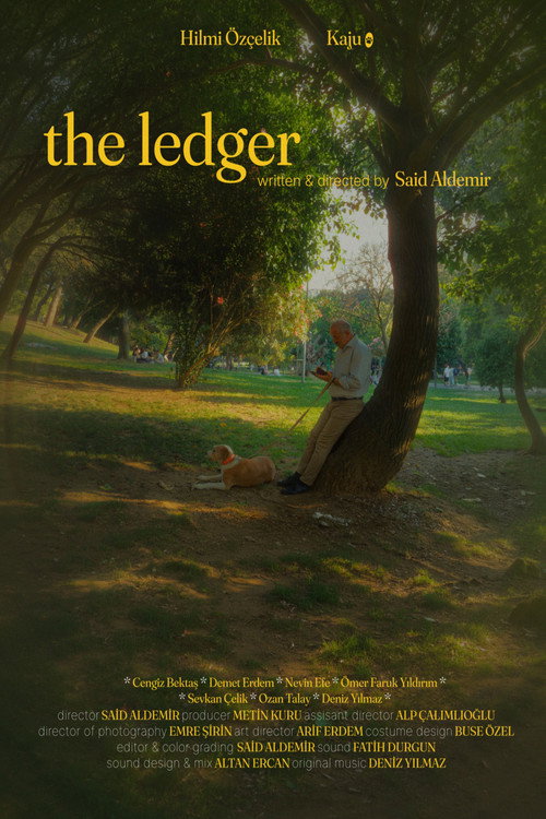 The Ledger movie poster