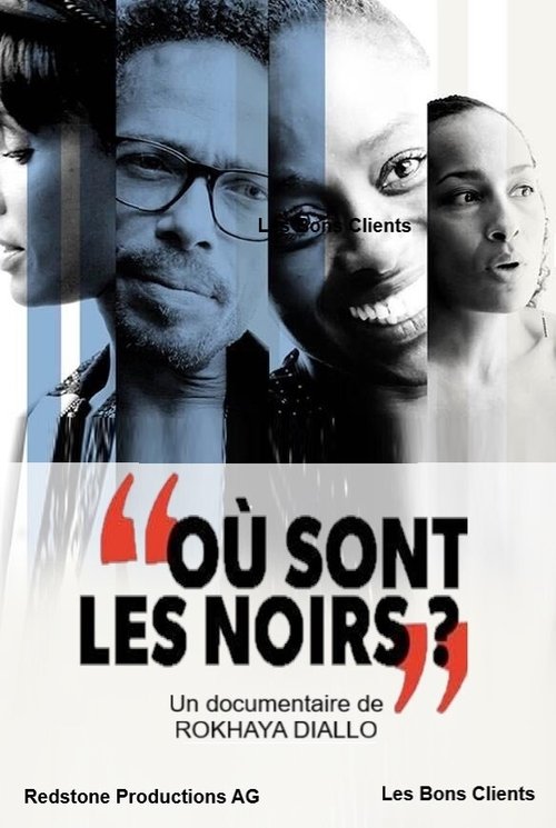 Où sont les noirs ? (2020) movie poster