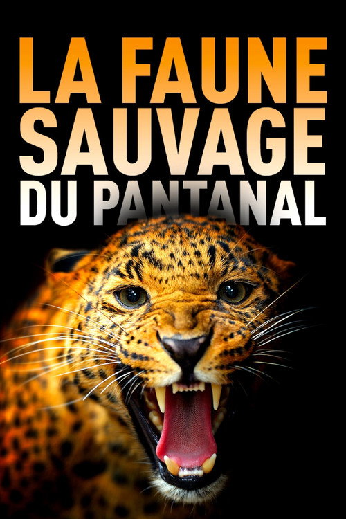 Among Big Cats and Anteaters - With Lydia Möcklinghoff in Brazil's wildlife (2021) movie poster