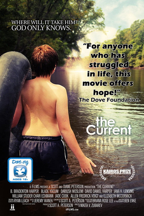 The Current (2014) movie poster