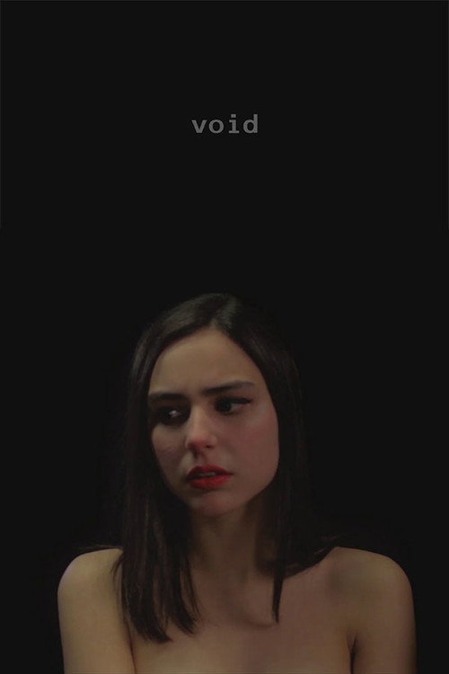 Void (2017) movie poster