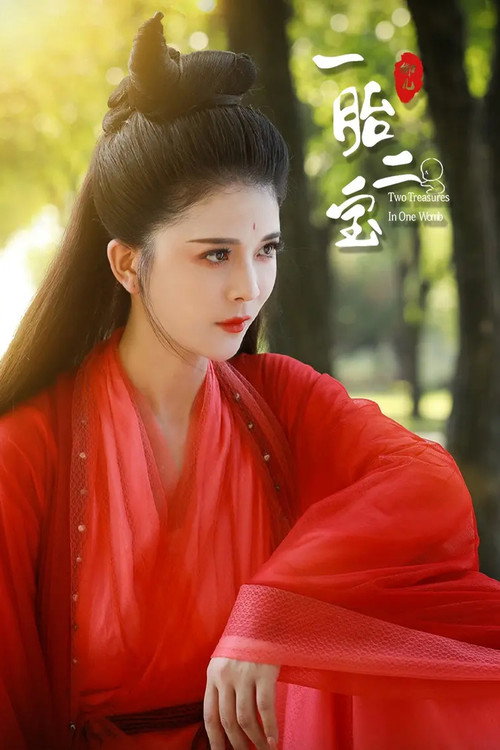 Two Treasures in One Womb (2020) TV show poster