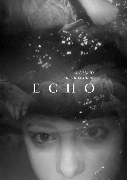 Echo (2023) movie poster