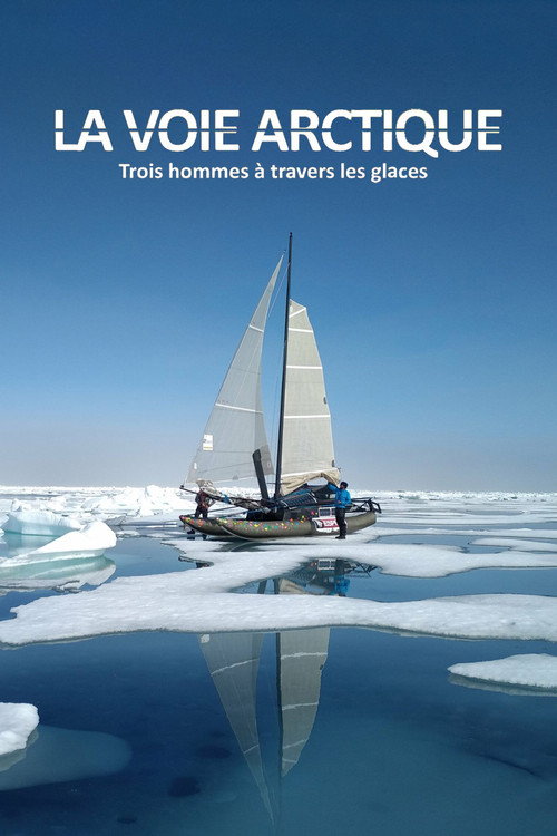 La Voie arctique - Trois hommes à travers les glaces (2020) movie poster