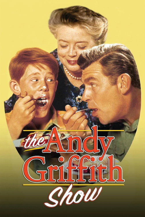 The Andy Griffith Show (1960) TV show poster