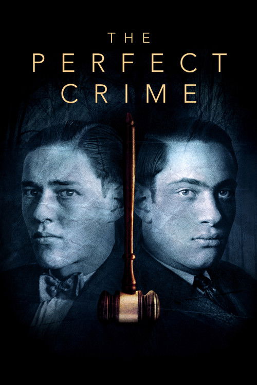 The Perfect Crime: Leopold & Loeb (2016) movie poster