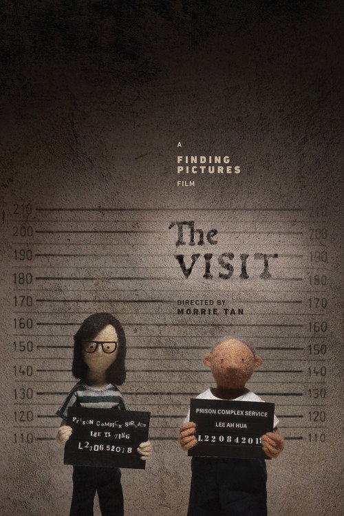 The Visit (2021) movie poster